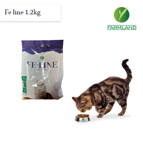 Feline-cats-food